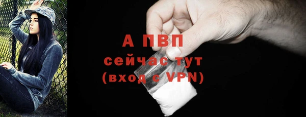 mdma Пересвет