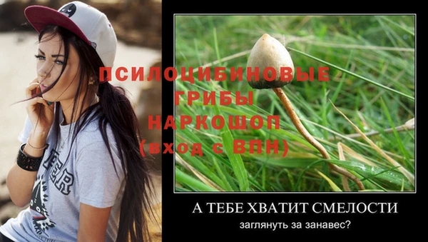 амфетамин Пестово