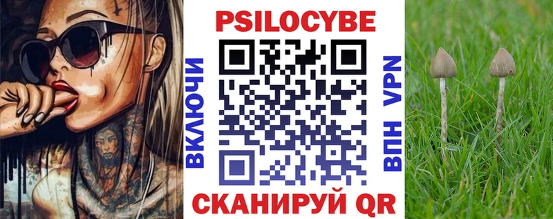 Галлюциногенные грибы Psilocybine cubensis  Белёв 