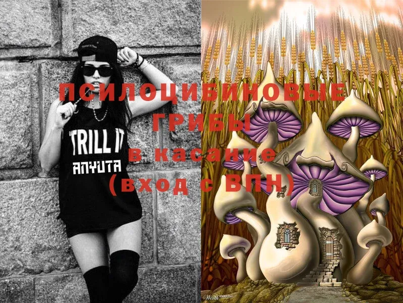 Псилоцибиновые грибы Cubensis  ссылка на мегу ссылка  Белёв 